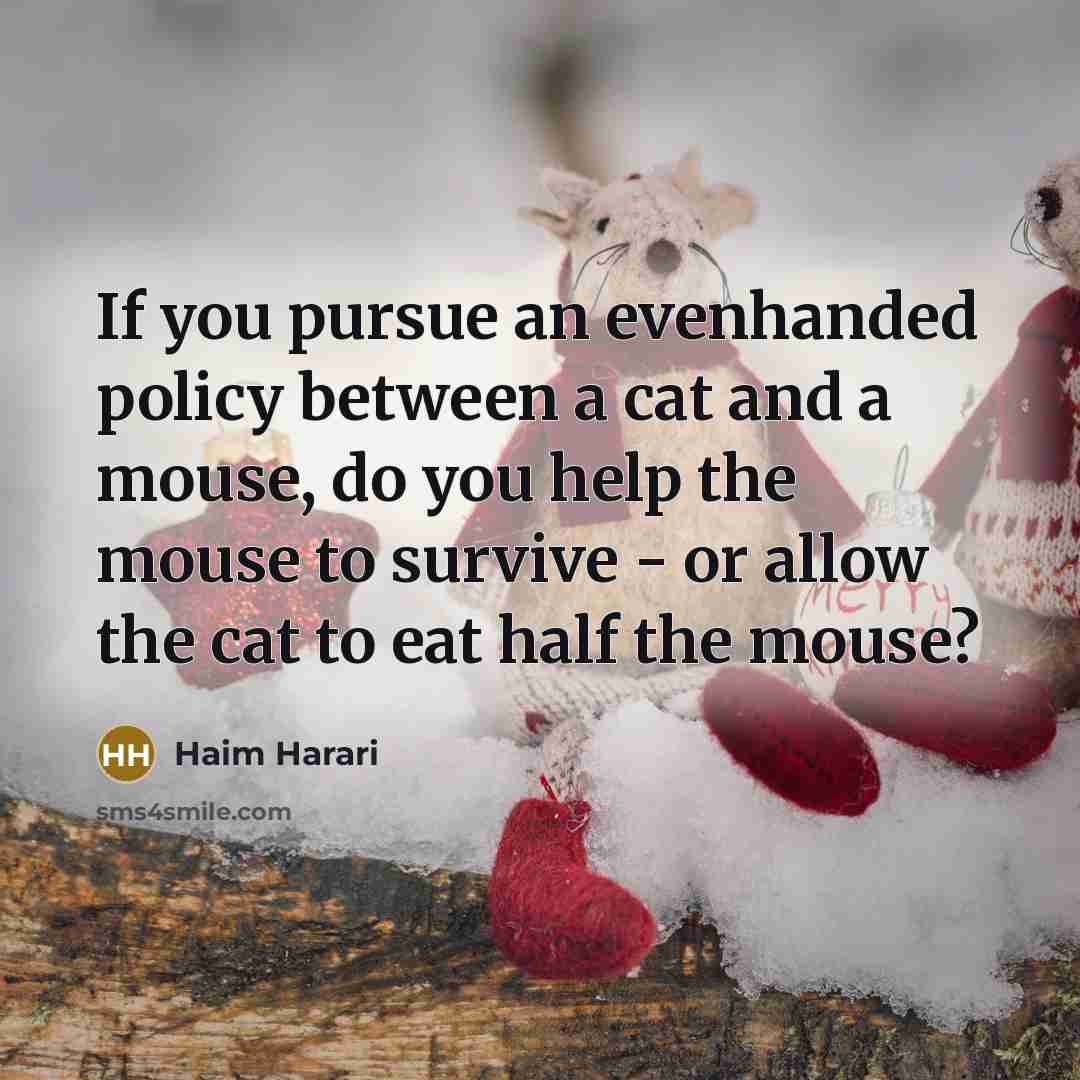 “If you pursue an evenhanded policy between a cat and…” quote by Haim Harari