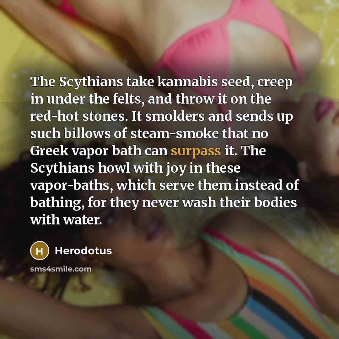 “The Scythians take kannabis seed, creep in under the felts,…” quote by Herodotus