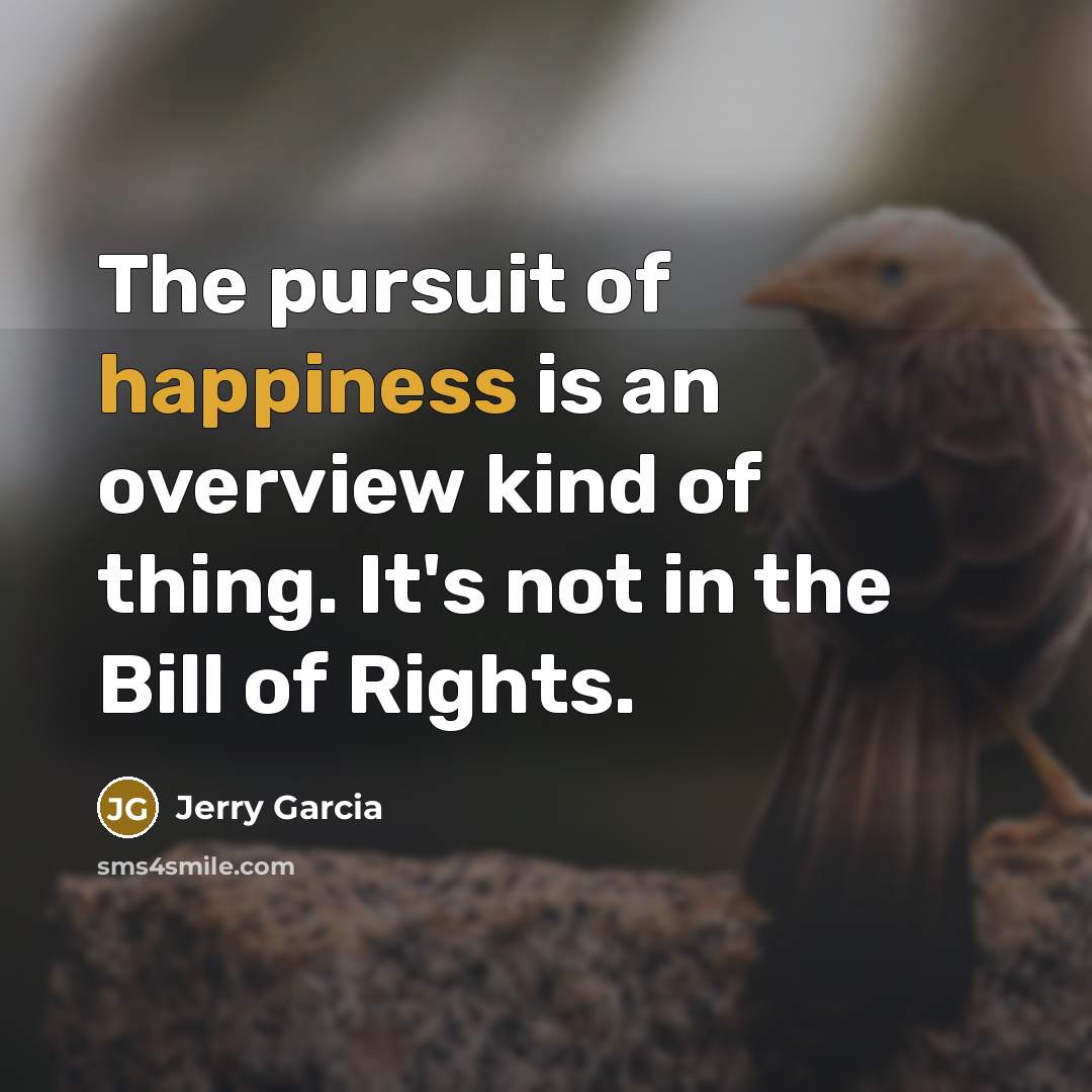 “The pursuit of happiness is an overview kind of thing.…” quote by Jerry Garcia
