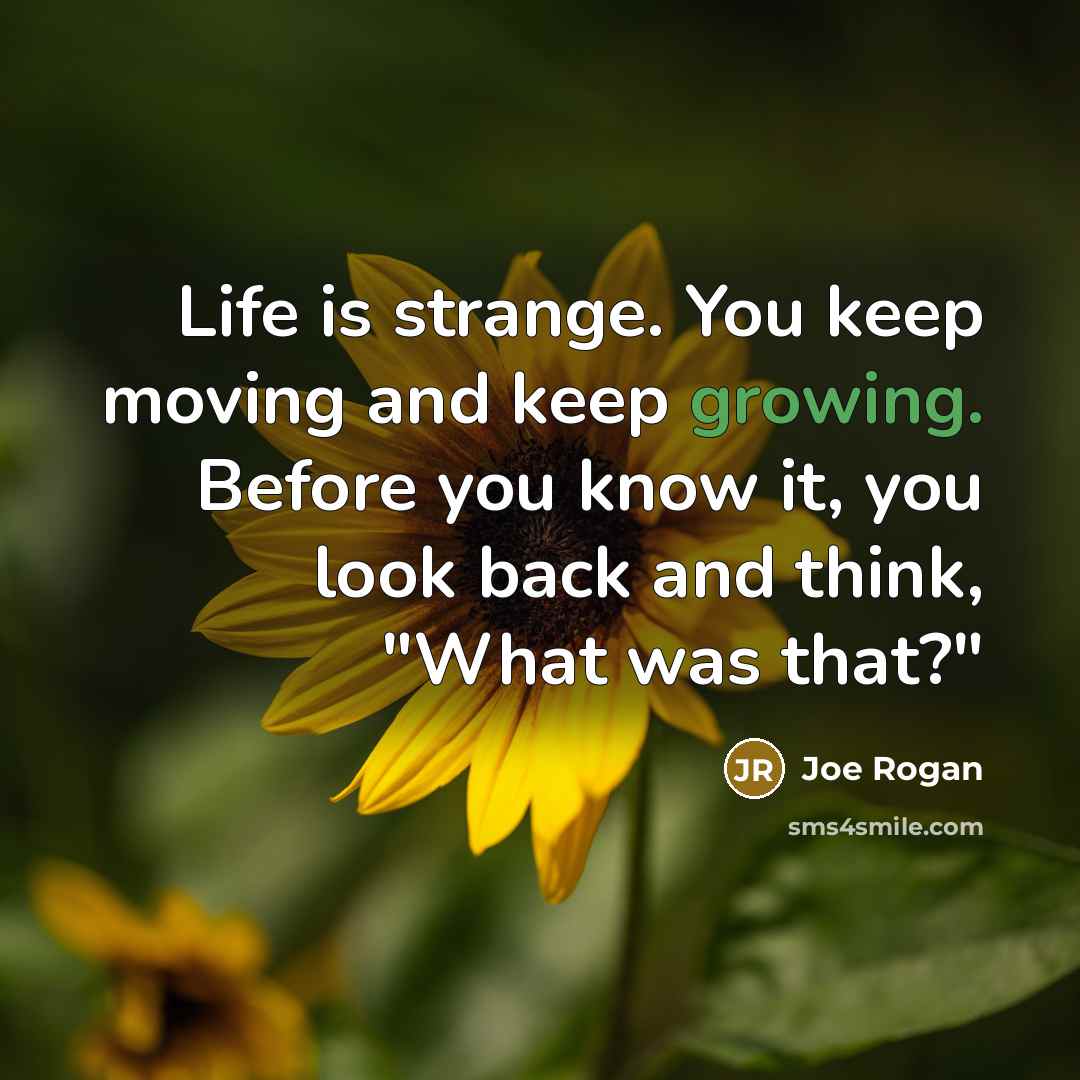 “Life is strange. You keep moving and keep growing. Before…” quote by Joe Rogan