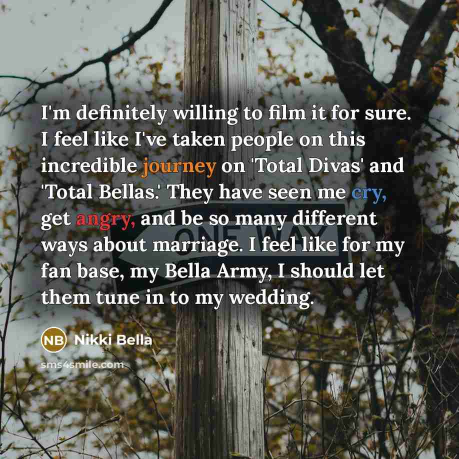 “I'm definitely willing to film it for sure. I feel…” quote by Nikki Bella