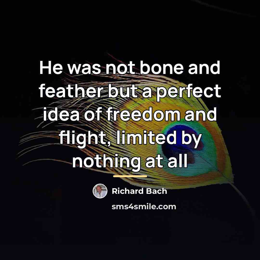 “He was not bone and feather but a perfect idea…” quote by Richard Bach