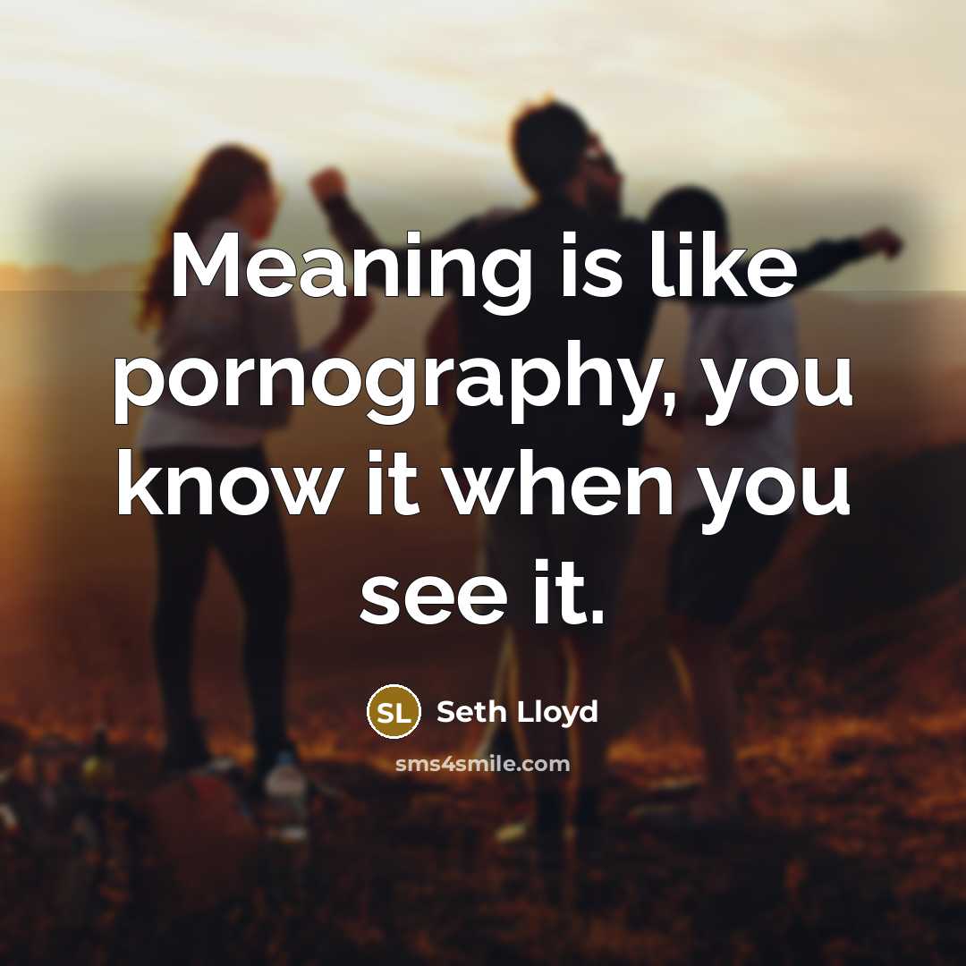 “Meaning is like pornography, you know it when you see…” quote by Seth Lloyd