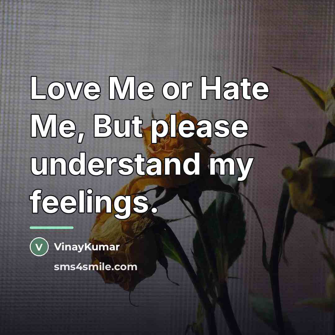 “Love Me or Hate Me, But please understand my feelings.…” quote by VinayKumar