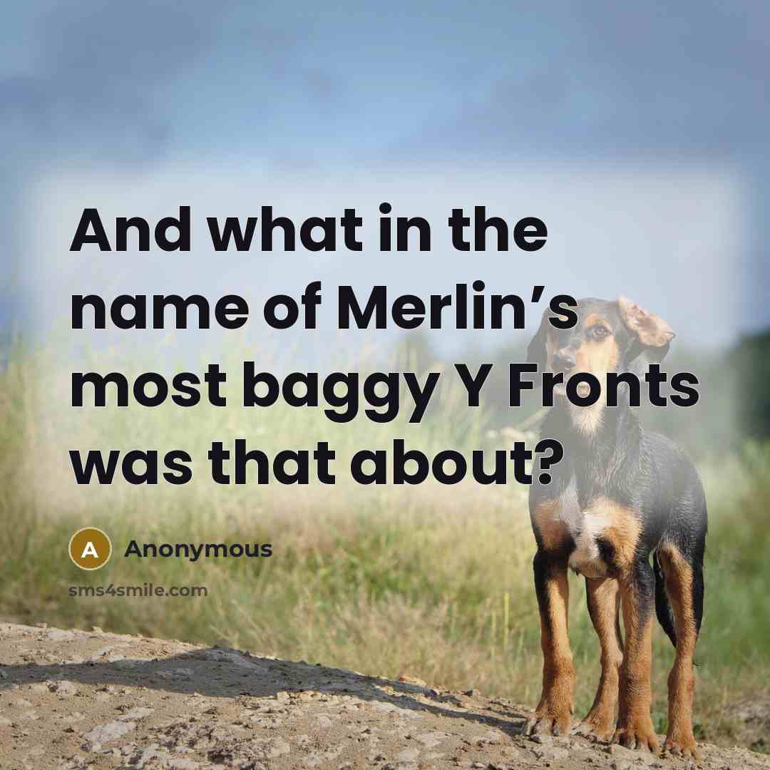 “And what in the name of Merlin’s most baggy Y Fronts was that about?” quote by Anonymous