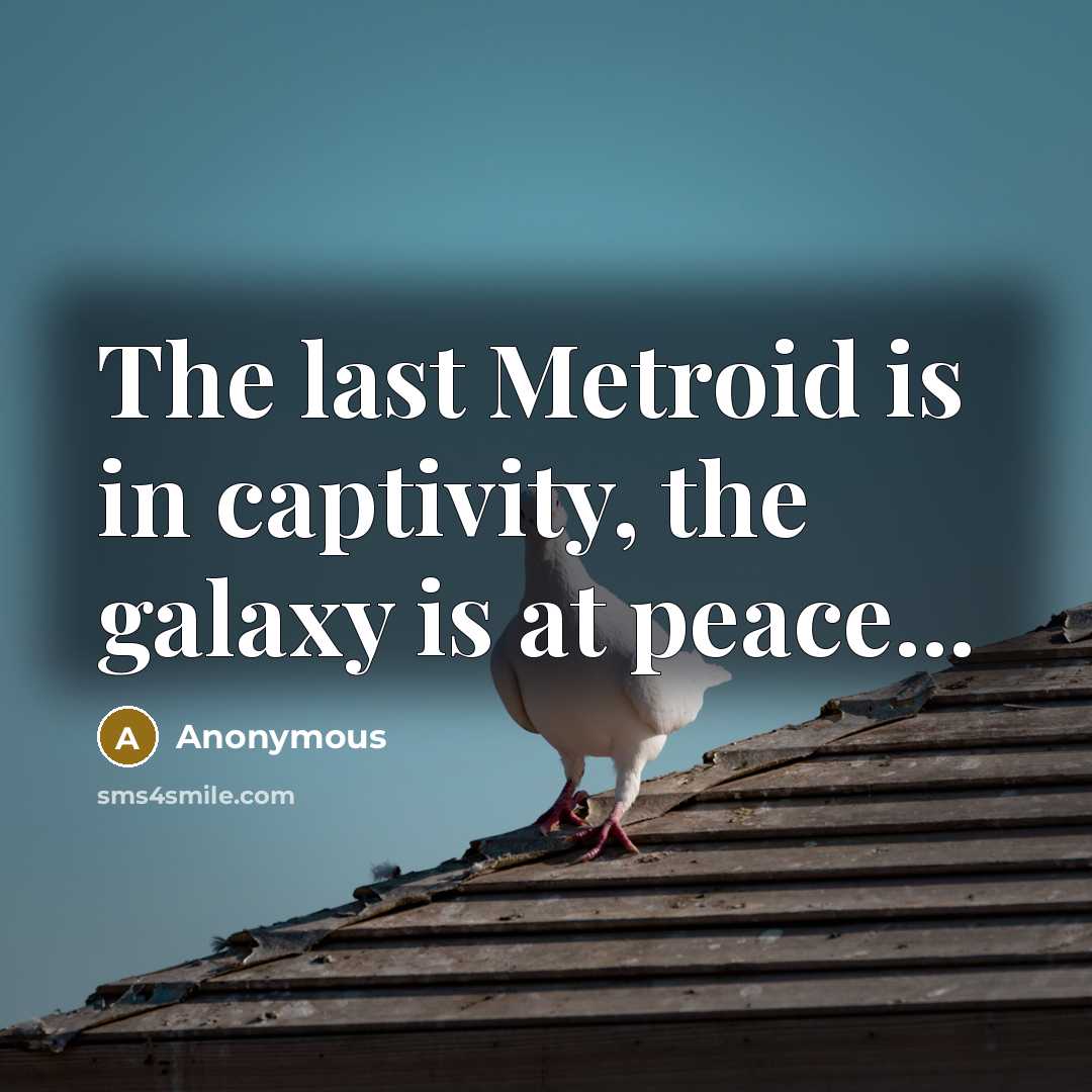 “The last Metroid is in captivity, the galaxy is at peace...” quote by Anonymous