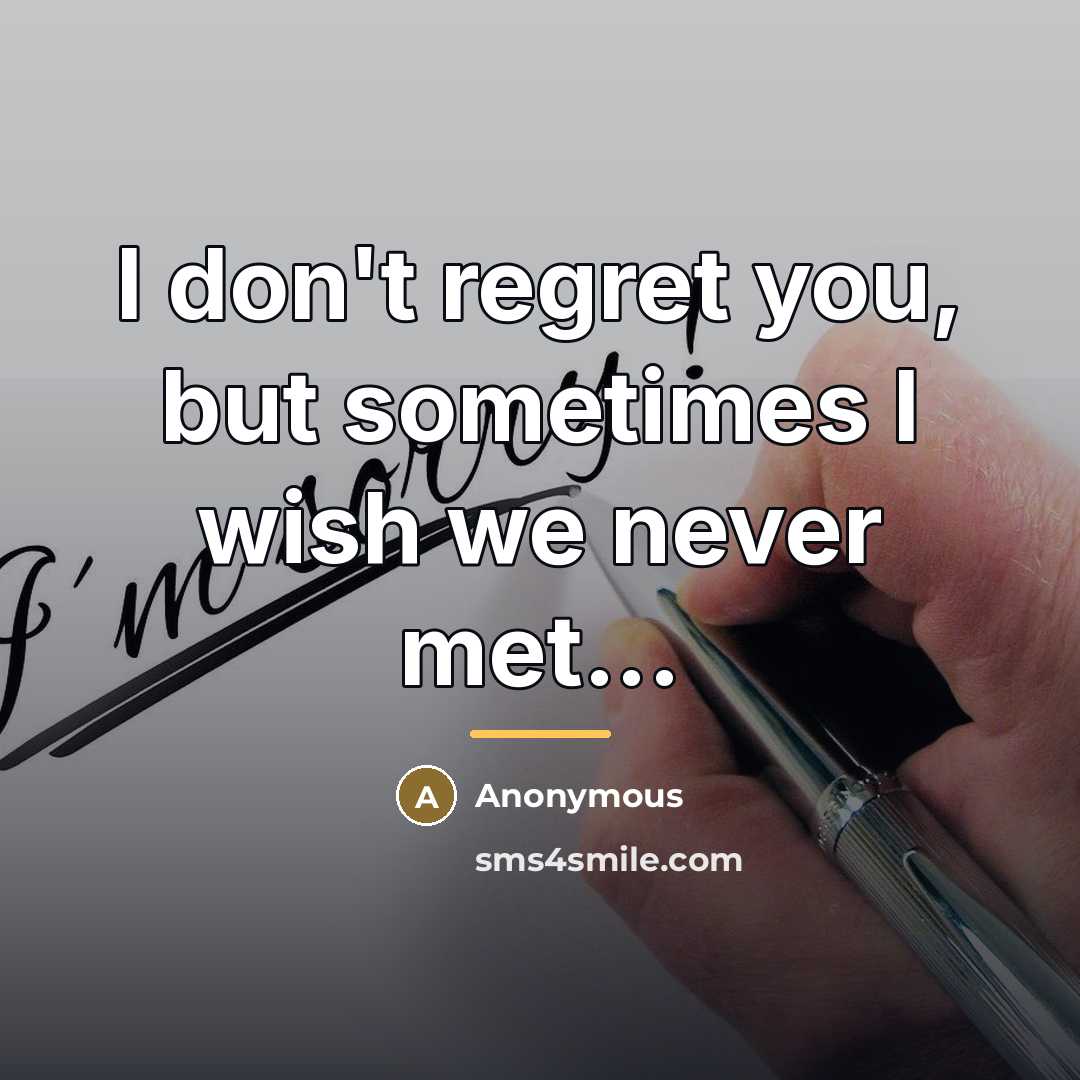 “I don't regret you, but sometimes I wish we never…” quote by Anonymous