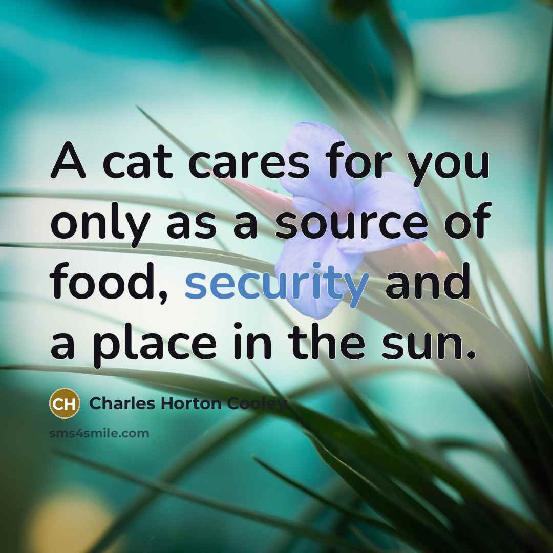 “A cat cares for you only as a source of…” quote by Charles Horton Cooley