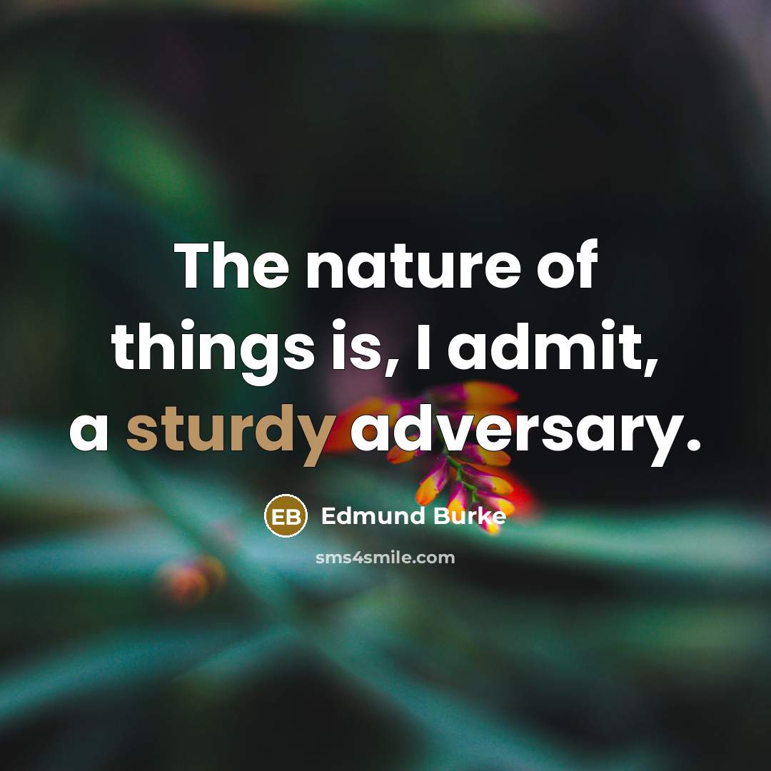 “The nature of things is, I admit, a sturdy adversary.…” quote by Edmund Burke