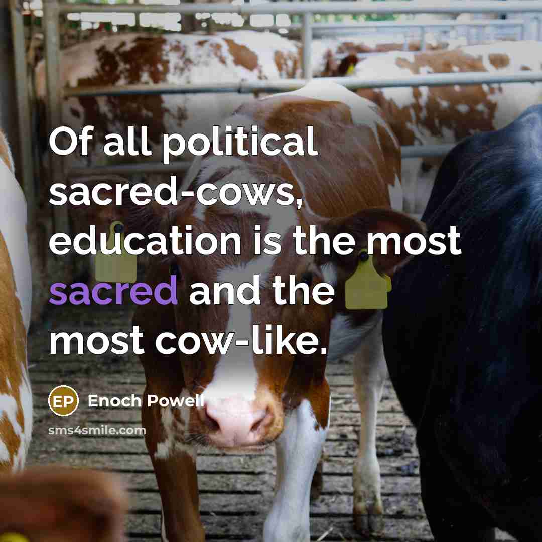 “Of all political sacred-cows, education is the most sacred and…” quote by Enoch Powell