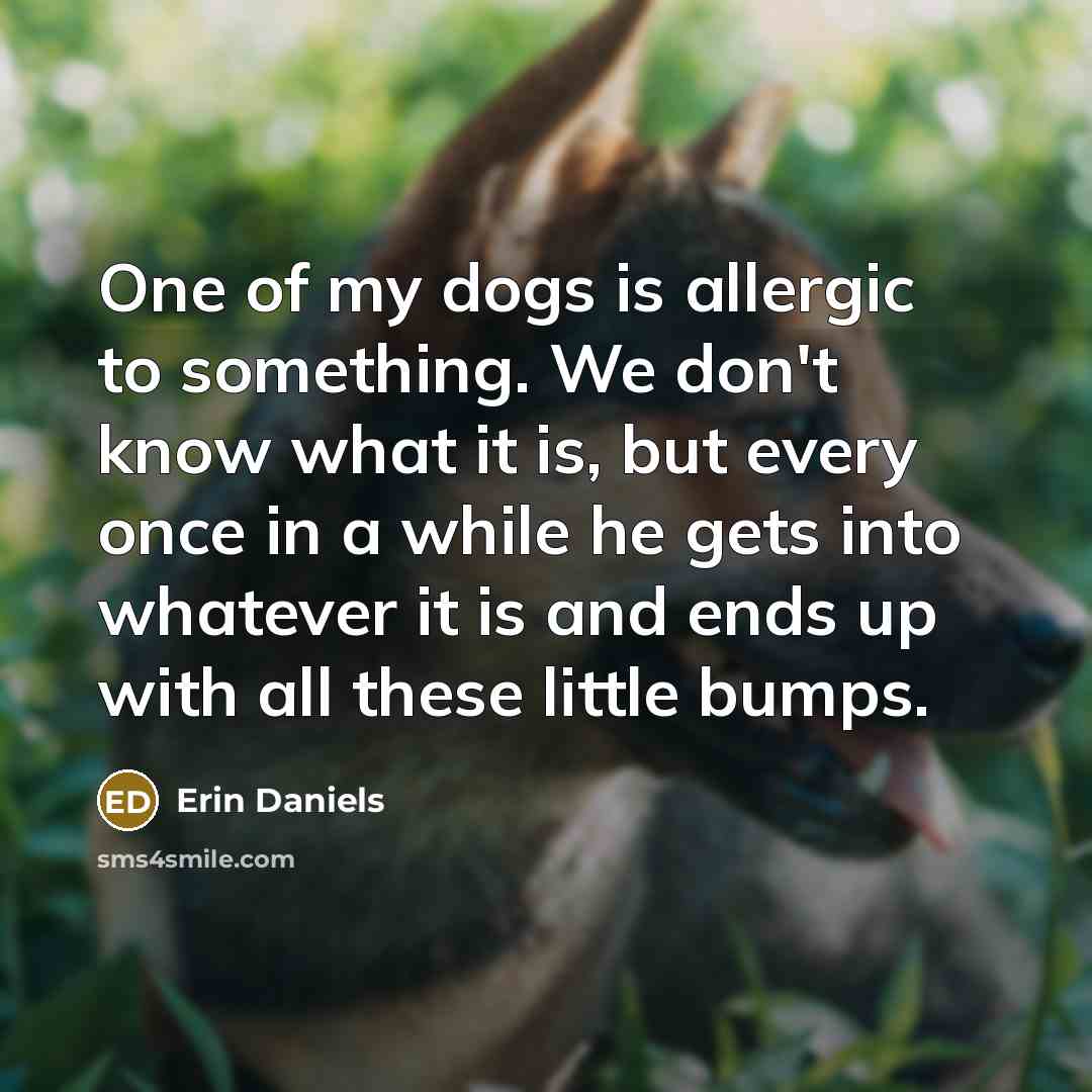 “One of my dogs is allergic to something. We don't…” quote by Erin Daniels