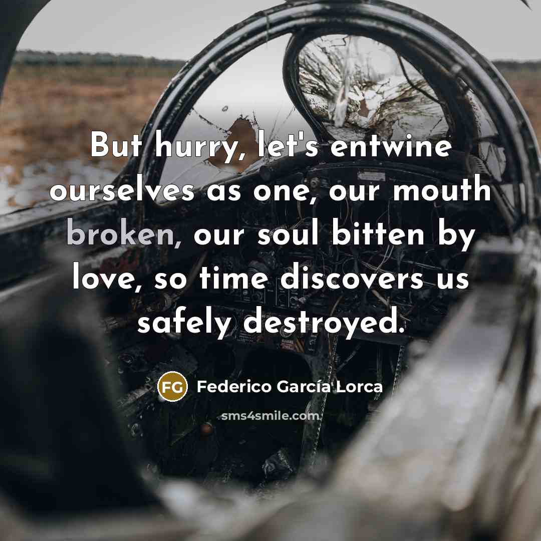 “But hurry, let's entwine ourselves as one, our mouth broken,…” quote by Federico Garcia Lorca