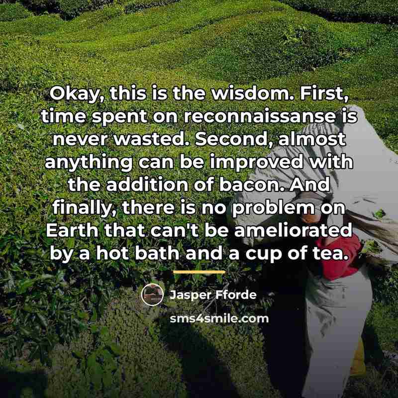 “Okay, this is the wisdom. First, time spent on reconnaissanse…” quote by Jasper Fforde