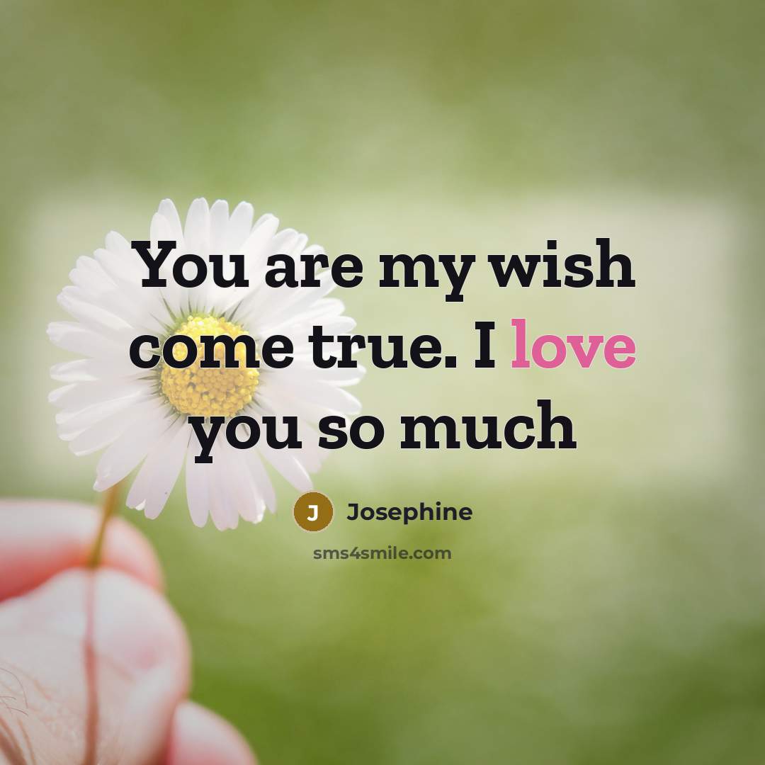 “You are my wish come true. I love you so much” quote by Josephine