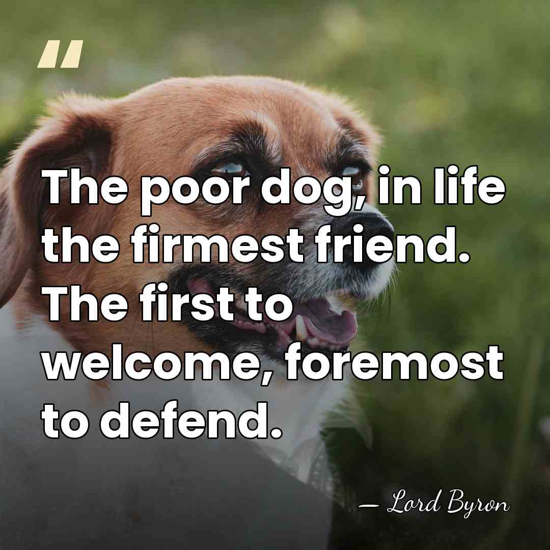 The poor dog, in life the firmest friend. The first to welcome,&hellip; - Lord Byron