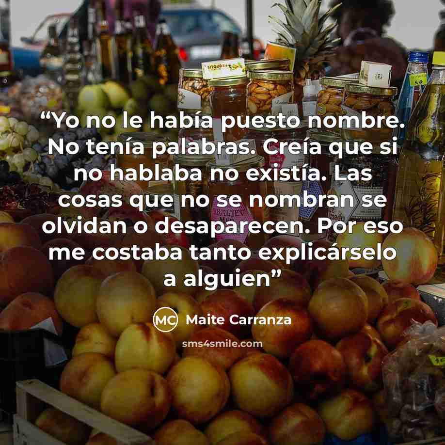 “Yo no le había puesto nombre. No tenía palabras. Creía que si no hablaba no existía. Las cosas que no se nombran se olvidan o desaparecen. Por eso me costaba tanto explicárselo a alguien” quote by Maite Carranza