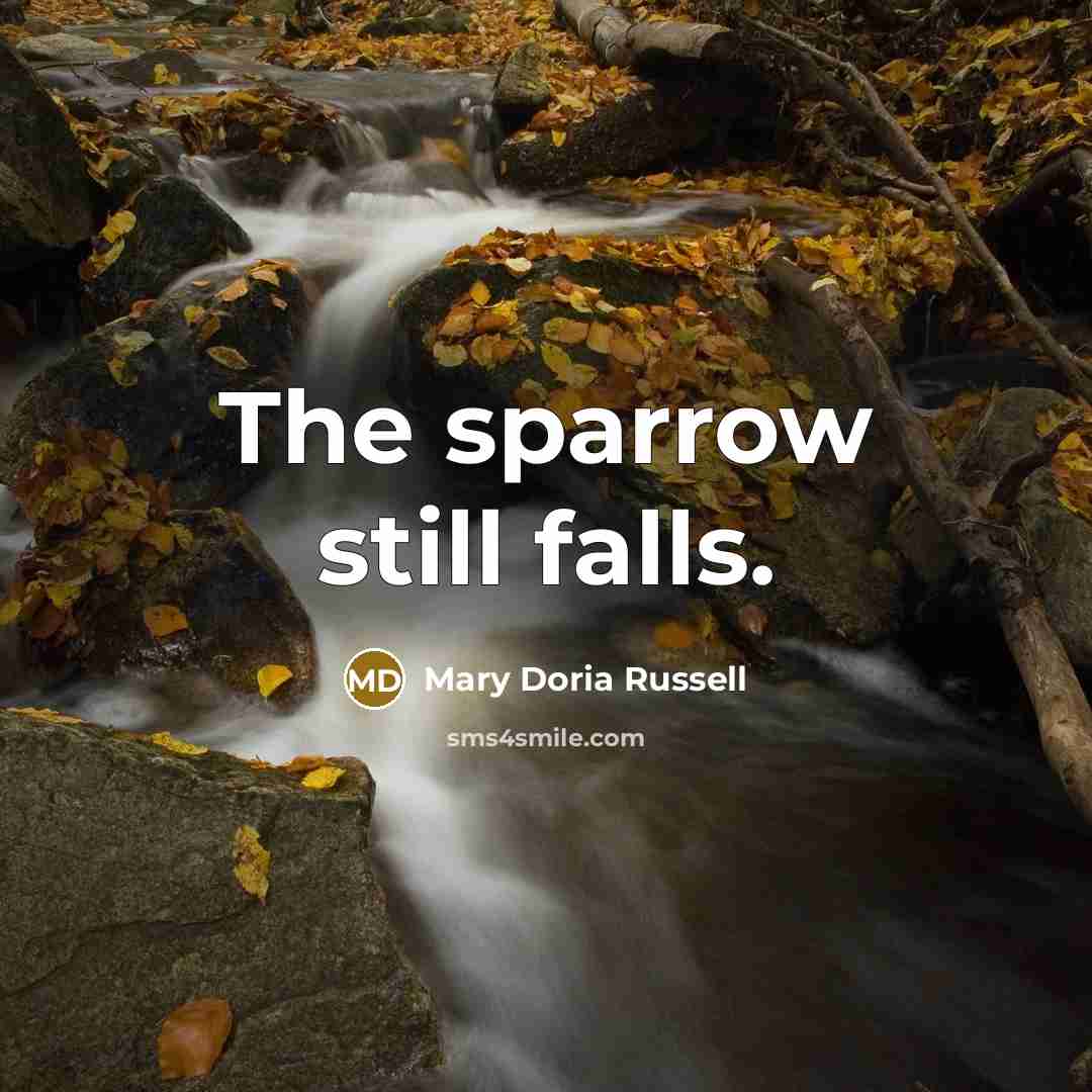“The sparrow still falls.…” quote by Mary Doria Russell