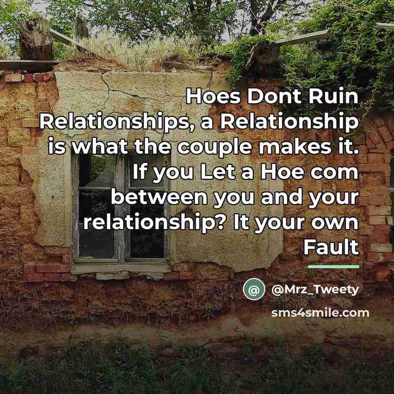 “Hoes Dont Ruin Relationships, a Relationship is what the couple…” quote by @Mrz_Tweety