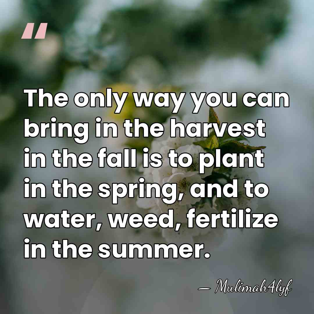 The only way you can bring in the harvest in the fall&hellip; - Mulimah4lyf