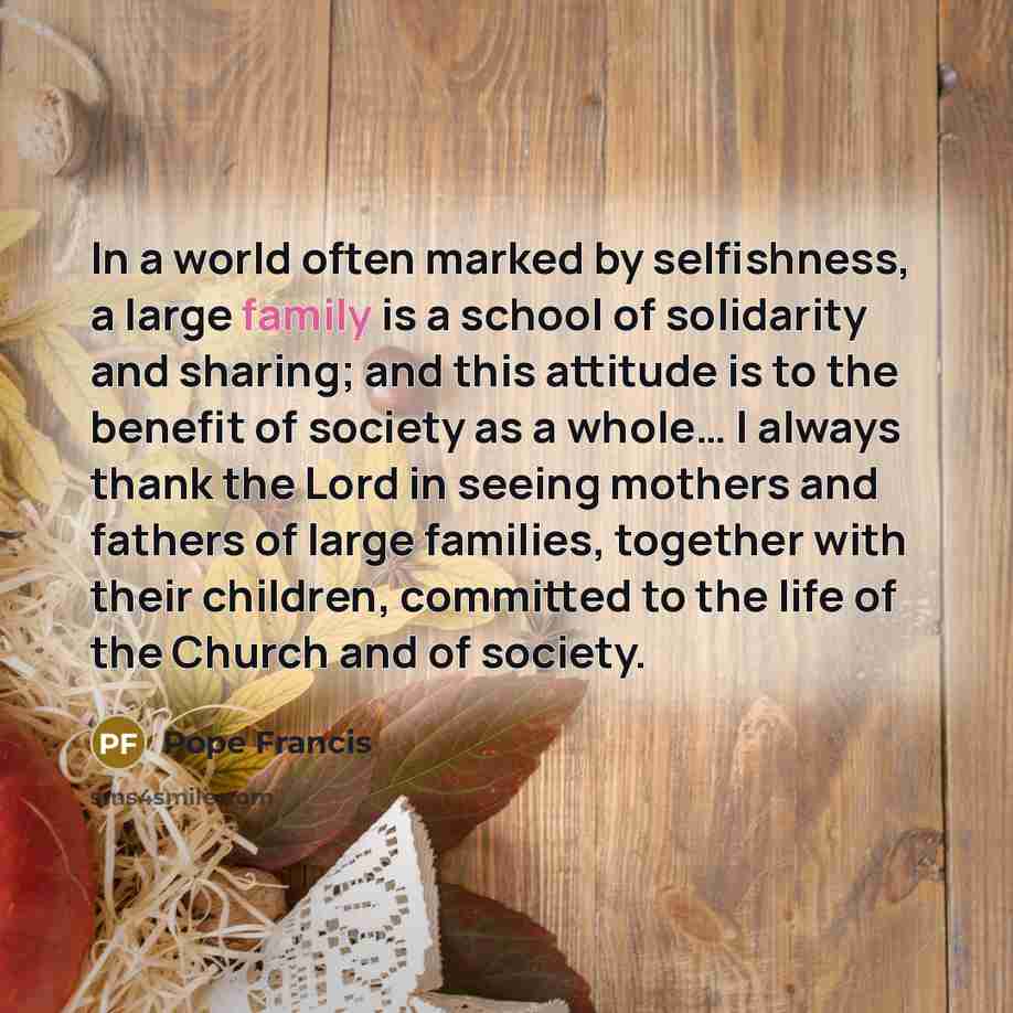 “In a world often marked by selfishness, a large family…” quote by Pope Francis