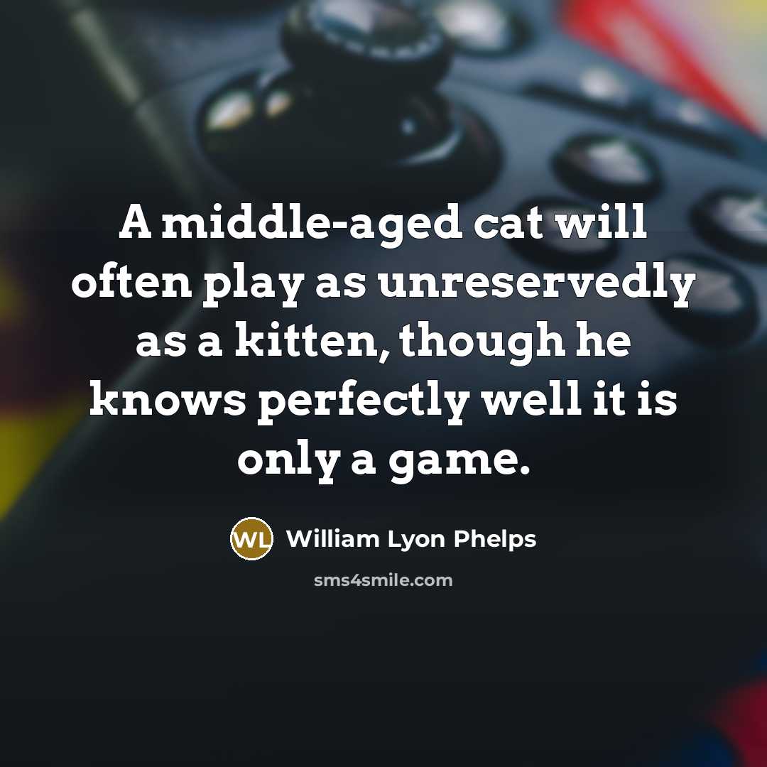 “A middle-aged cat will often play as unreservedly as a…” quote by William Lyon Phelps