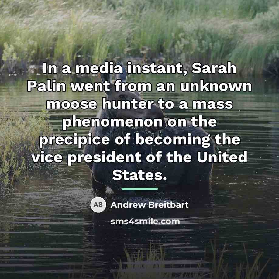 “In a media instant, Sarah Palin went from an unknown…” quote by Andrew Breitbart