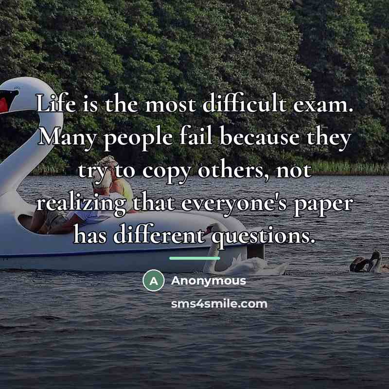 “Life is the most difficult exam. Many people fail because…” quote by Anonymous
