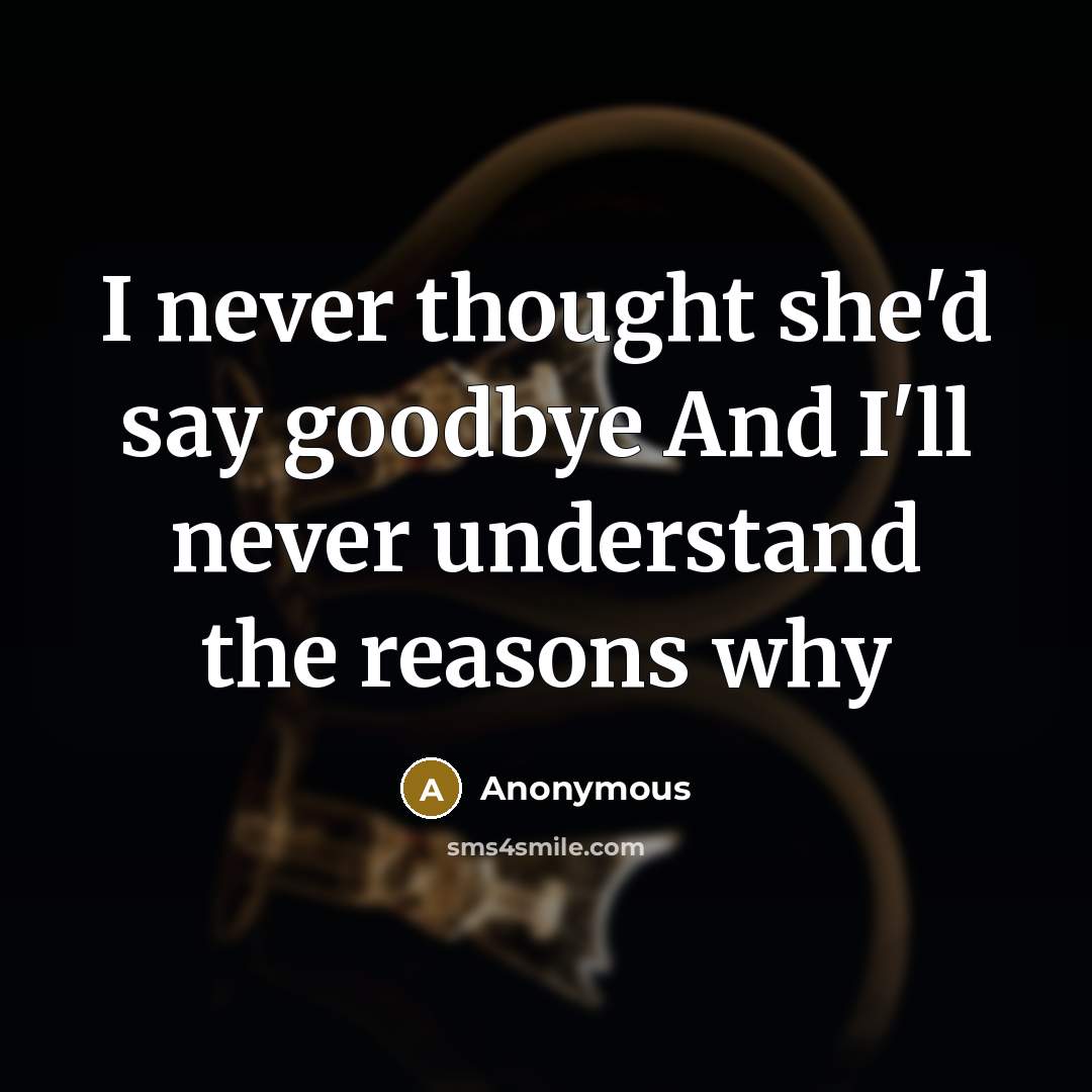 “I never thought she'd say goodbye And I'll never understand…” quote by Anonymous