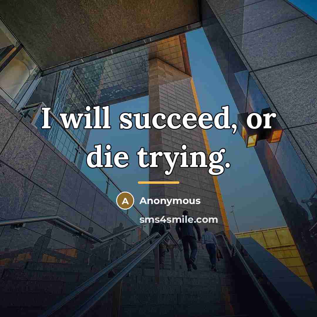 “I will succeed, or die trying.…” quote by Anonymous