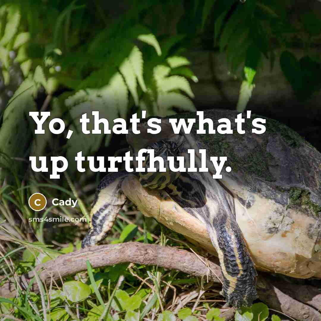 “Yo, that's what's up turtfhully.” quote by Cady