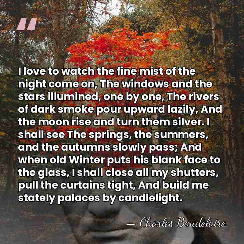 I love to watch the fine mist of the night come on,&hellip; - Charles Baudelaire