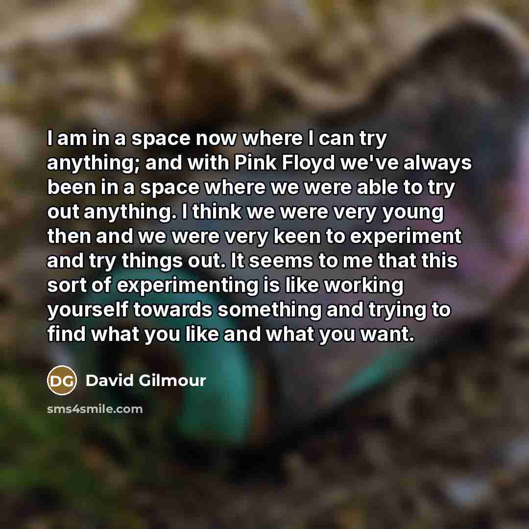 “I am in a space now where I can try…” quote by David Gilmour