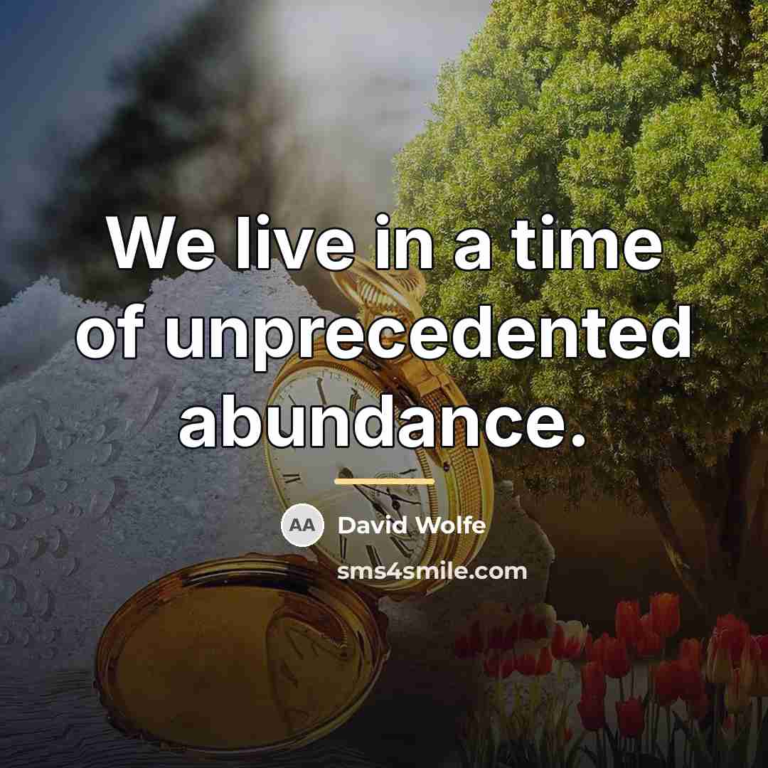 “We live in a time of unprecedented abundance.…” quote by David Wolfe