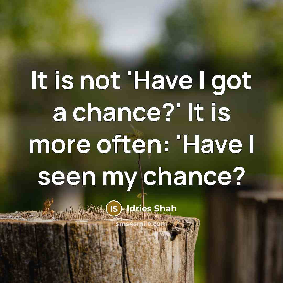 “It is not 'Have I got a chance?' It is…” quote by Idries Shah