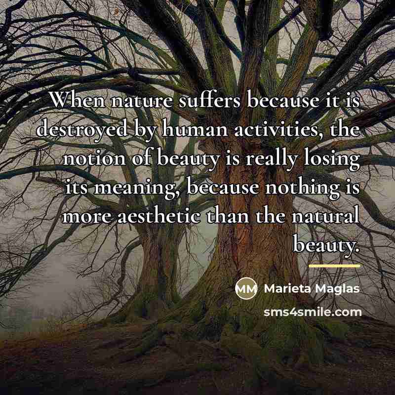 “When nature suffers because it is destroyed by human activities,…” quote by Marieta Maglas