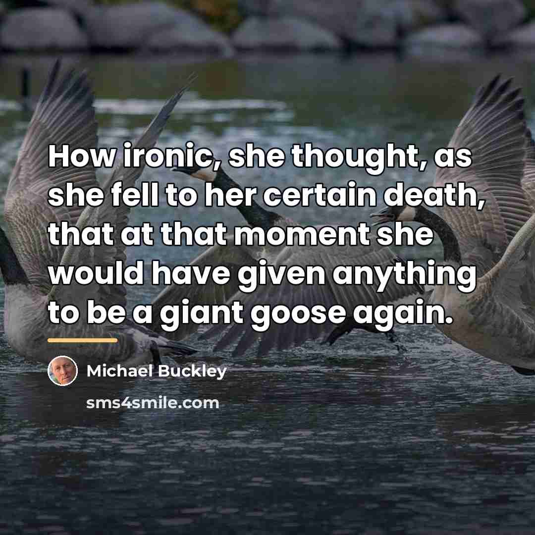 “How ironic, she thought, as she fell to her certain…” quote by Michael Buckley