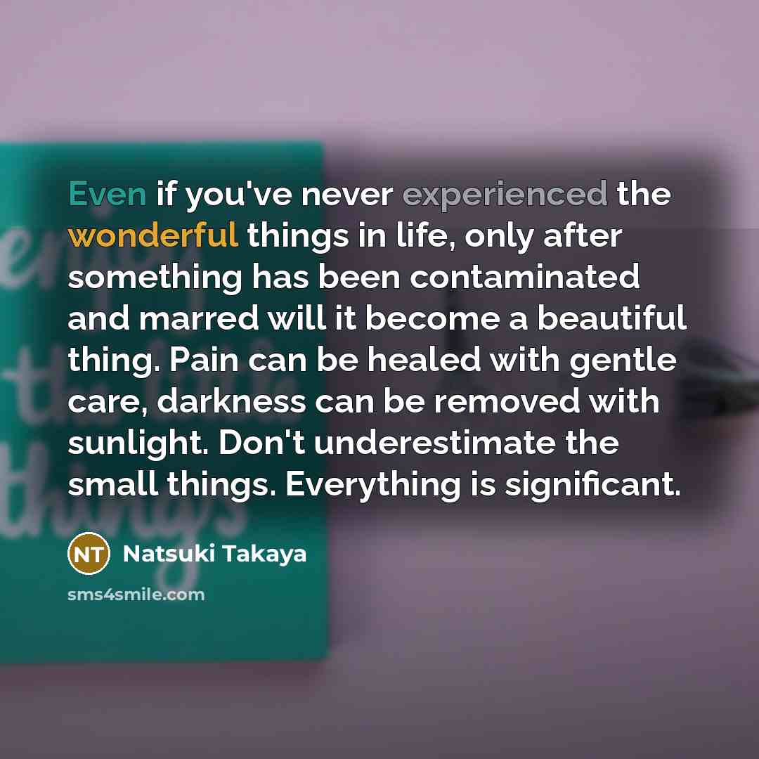 “Even if you've never experienced the wonderful things in life,…” quote by Natsuki Takaya