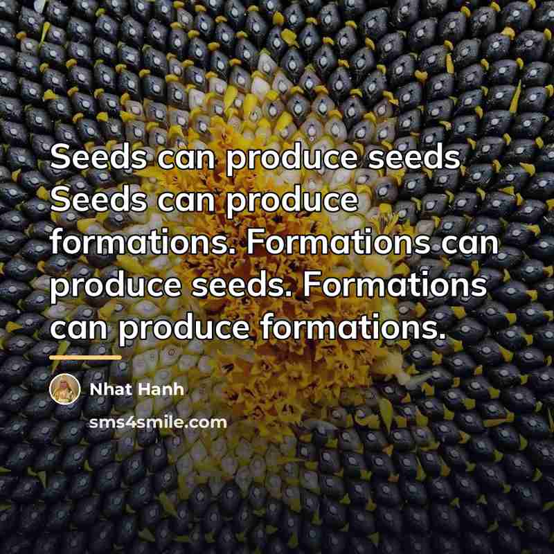 “Seeds can produce seeds Seeds can produce formations. Formations can…” quote by Nhat Hanh