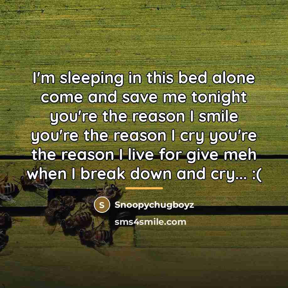 “I'm sleeping in this bed alone come and save me…” quote by Snoopychugboyz