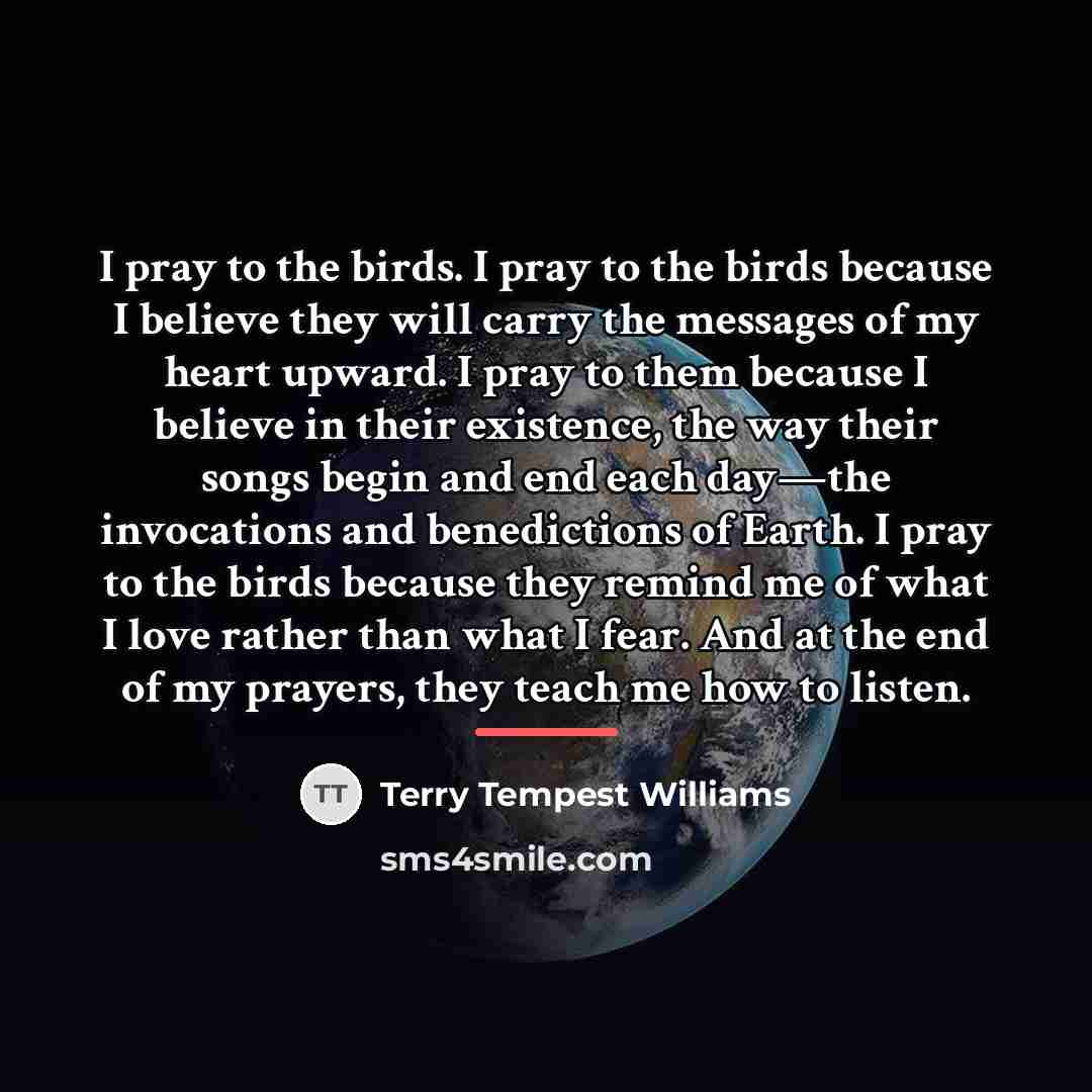 “I pray to the birds. I pray to the birds…” quote by Terry Tempest Williams