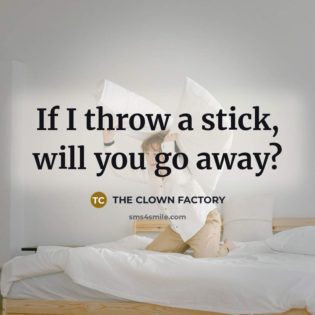 “If I throw a stick, will you go away?” quote by THE CLOWN FACTORY