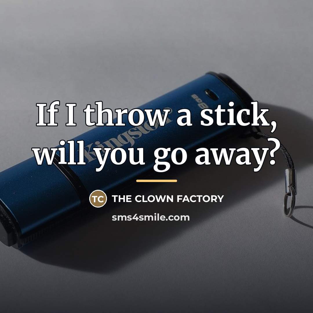 “If I throw a stick, will you go away?…” quote by THE CLOWN FACTORY