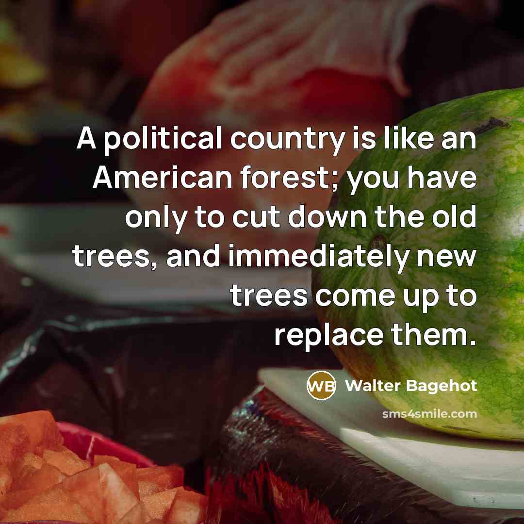 “A political country is like an American forest; you have…” quote by Walter Bagehot