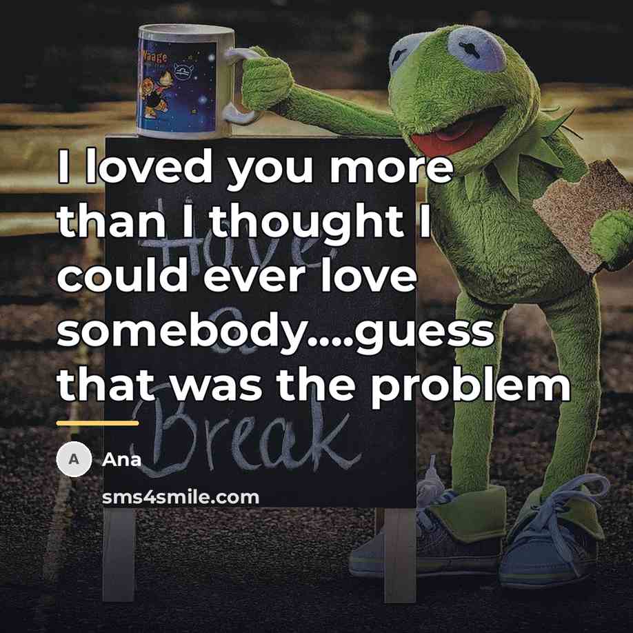 “I loved you more than I thought I could ever…” quote by Ana