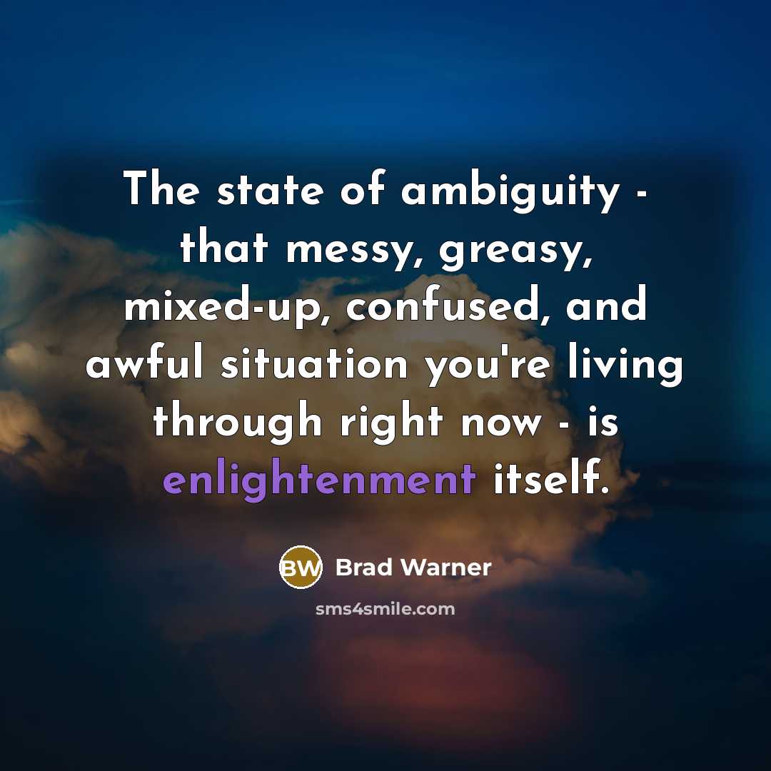 “The state of ambiguity - that messy, greasy, mixed-up, confused,…” quote by Brad Warner