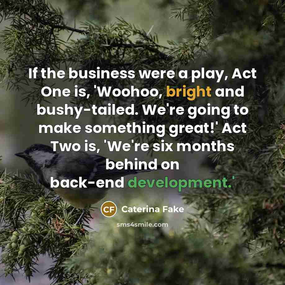 “If the business were a play, Act One is, 'Woohoo,…” quote by Caterina Fake
