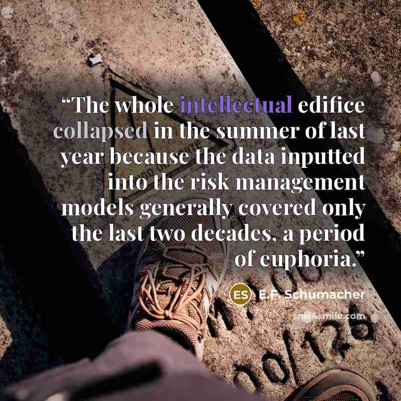 “The whole intellectual edifice collapsed in the summer of last year because the data inputted into the risk management models generally covered only the last two decades, a period of euphoria.” quote by E.F. Schumacher
