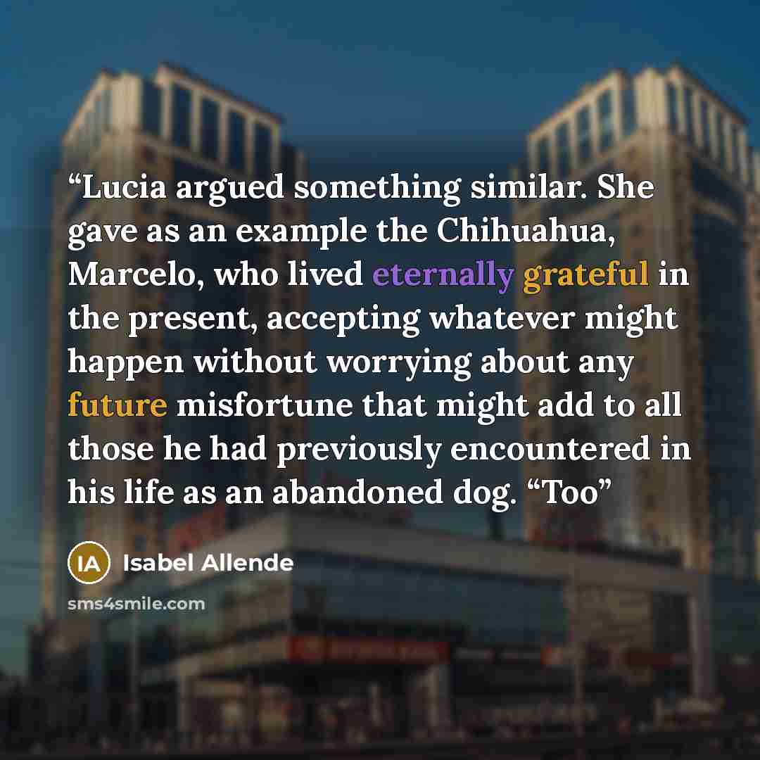 “Lucia argued something similar. She gave as an example the Chihuahua, Marcelo, who lived eternally grateful in the present, accepting whatever might happen without worrying about any future misfortune that might add to all those he had previously encountered in his life as an abandoned dog. “Too” quote by Isabel Allende