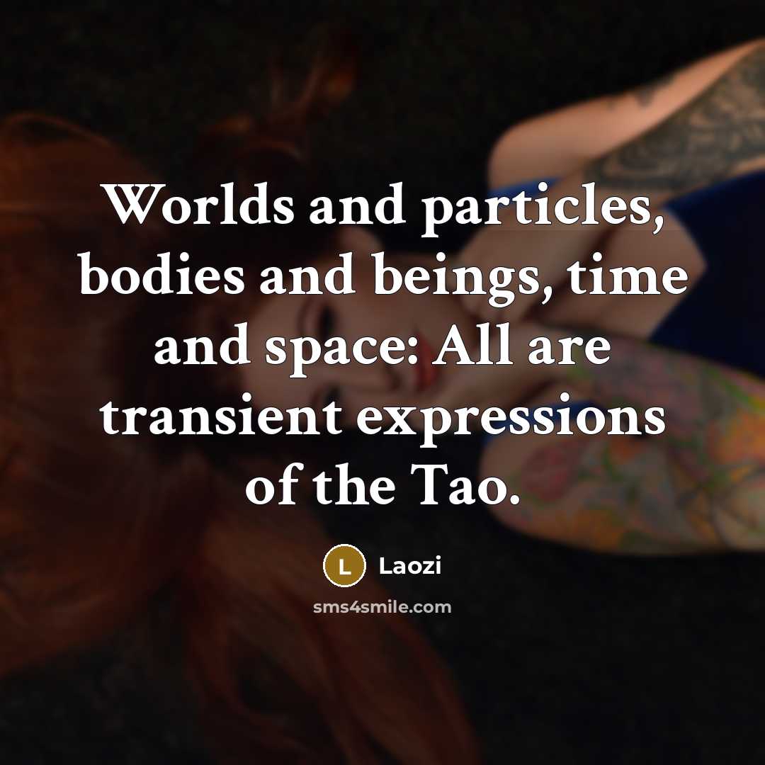 “Worlds and particles, bodies and beings, time and space: All…” quote by Laozi