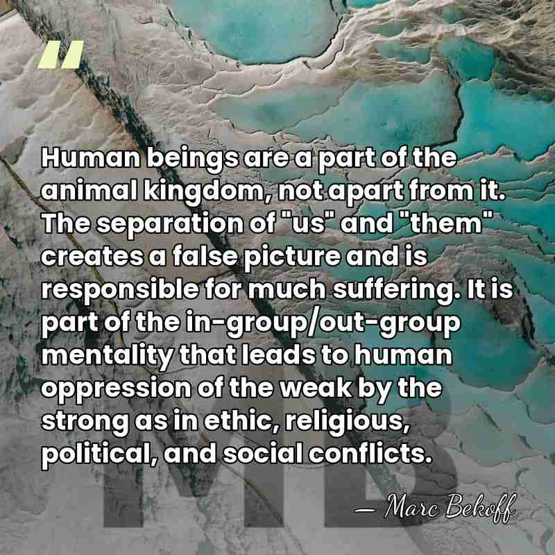 Human beings are a part of the animal kingdom, not apart from&hellip; - Marc Bekoff